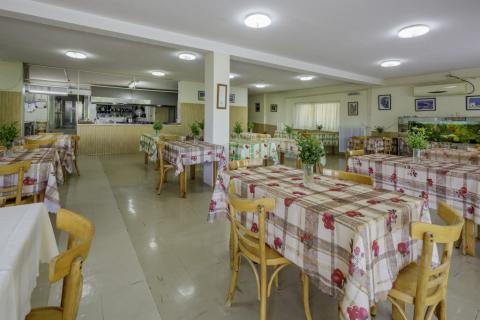 &Sigma;&Tau;&Epsilon;&Gamma;&Eta; &Alpha;&Gamma;&Alpha;&Pi;&Eta;&Sigma; &Pi;&Alpha;&Iota;&Alpha;&Nu;&Iota;&Alpha;