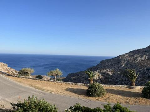 &Alpha;&Mu;&Pi;&Epsilon;&Lambda;&Epsilon;&Sigma;