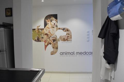 ANIMAL